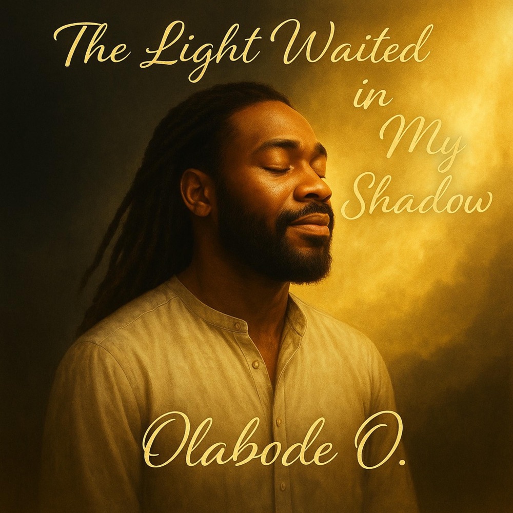 The Light Waited in My Shadow — official cover artwork