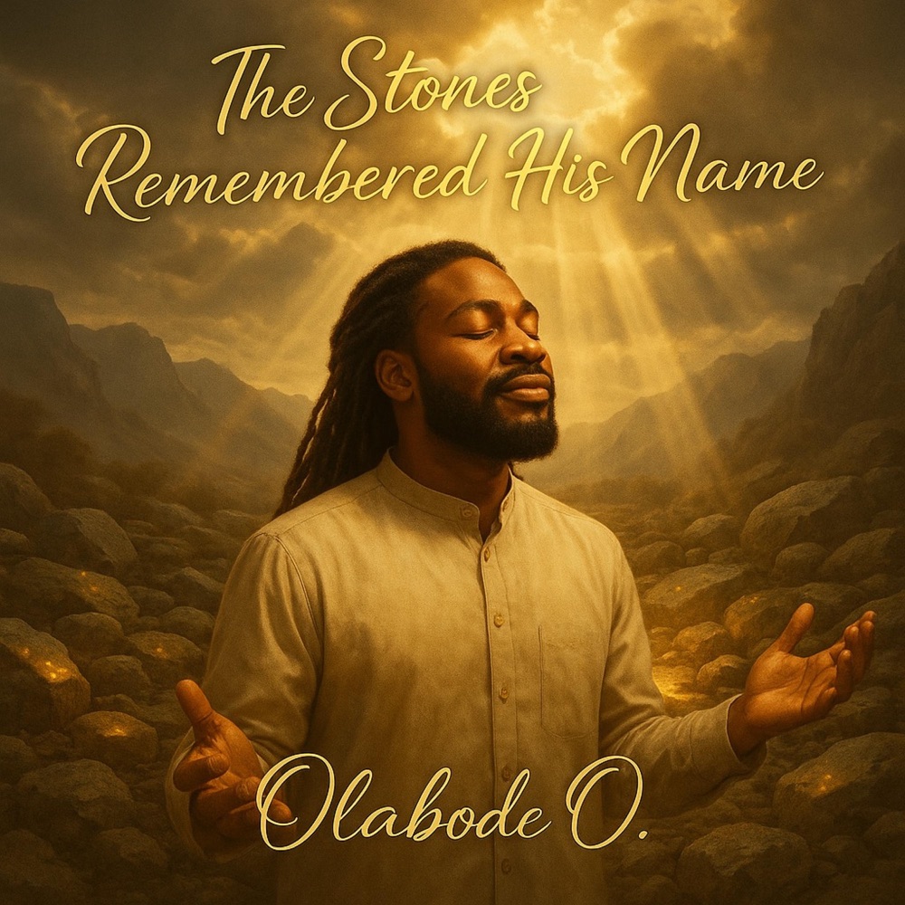 The Stones Remembered His Name — official cover artwork